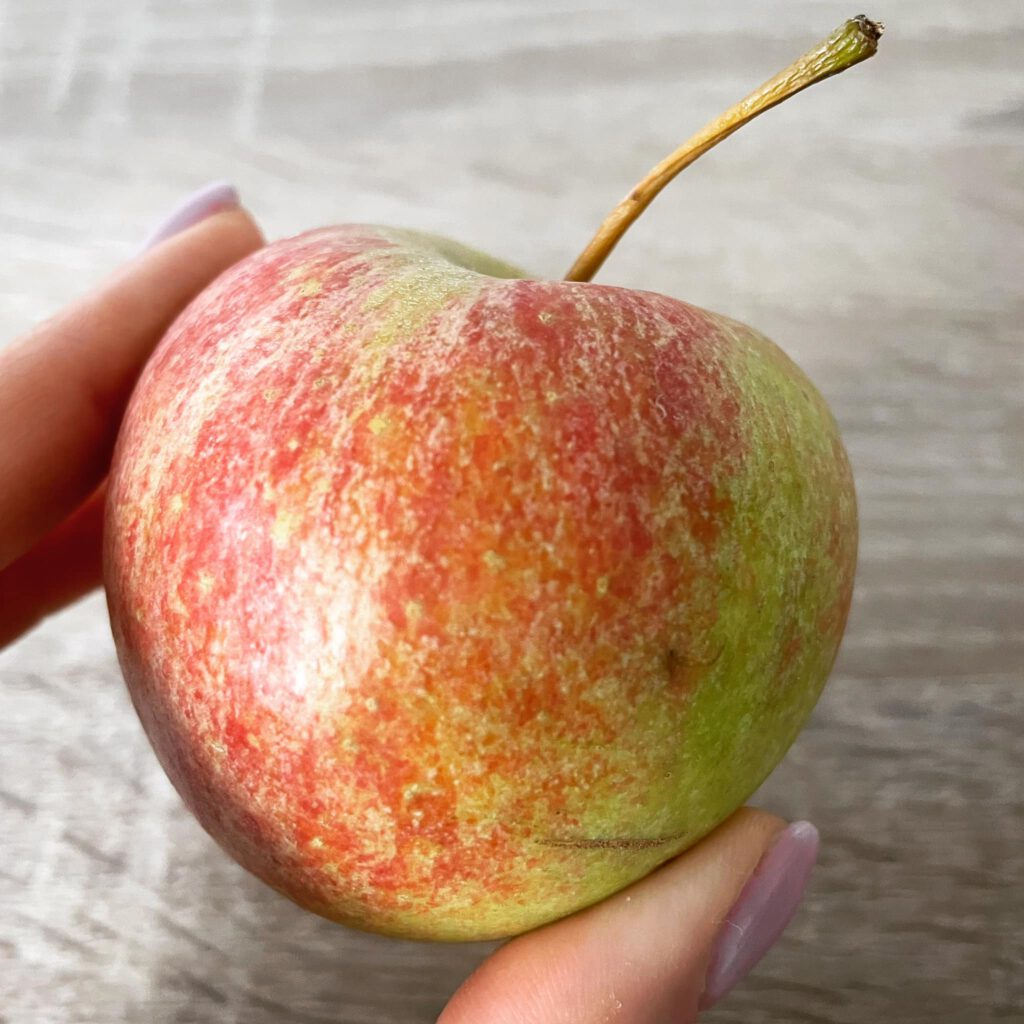 Światowy Dzień Jabłka 2021. Dlaczego warto je jeść?