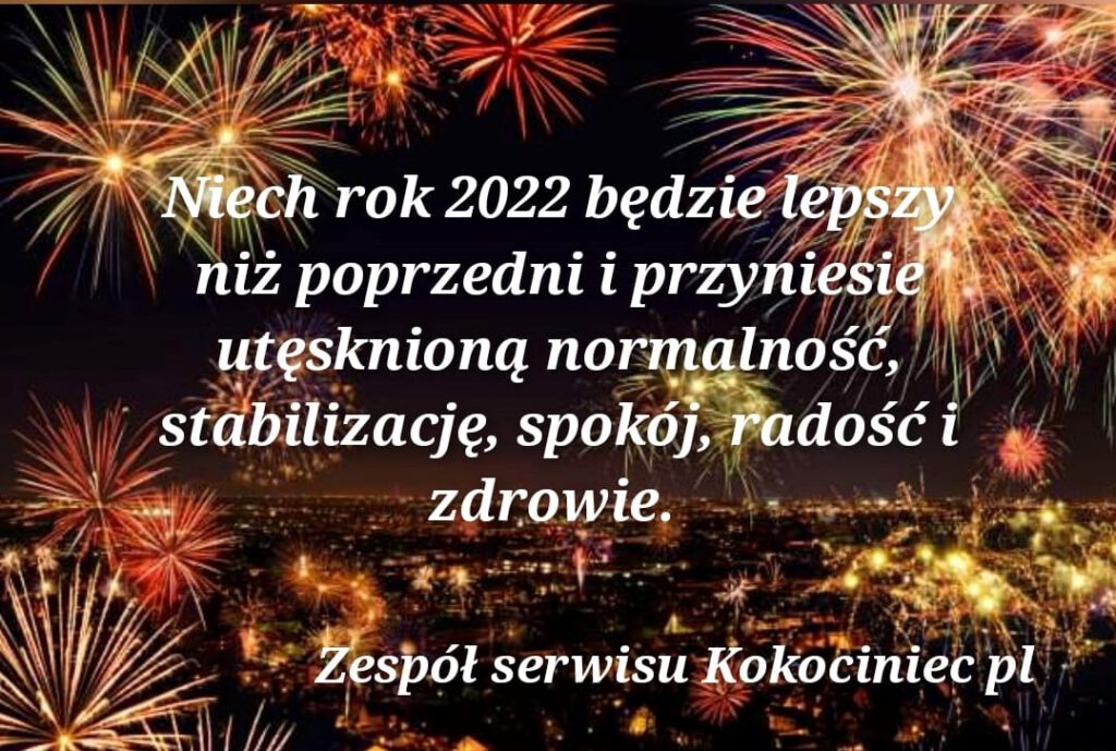 Wszystkiego najlepszego w Nowym 2022 Roku !