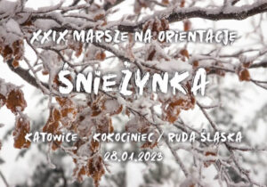 XXIX Marsze na orientację Śnieżynka ( Kokociniec-Chorzów-Ruda Śląska)