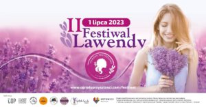 II Festiwal Lawendy w Katowicach