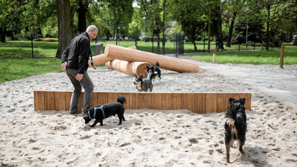 W sąsiedztwie Doliny Potoku Kokociniec powstanie nowy wybieg dla psów