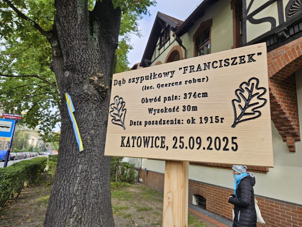 Franciszek – dąb, który połączył Ligotę